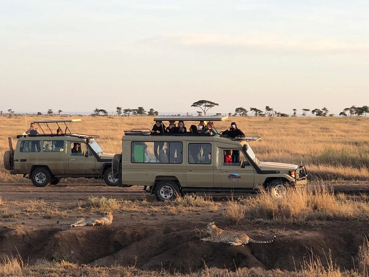 Tanzania Host Experience