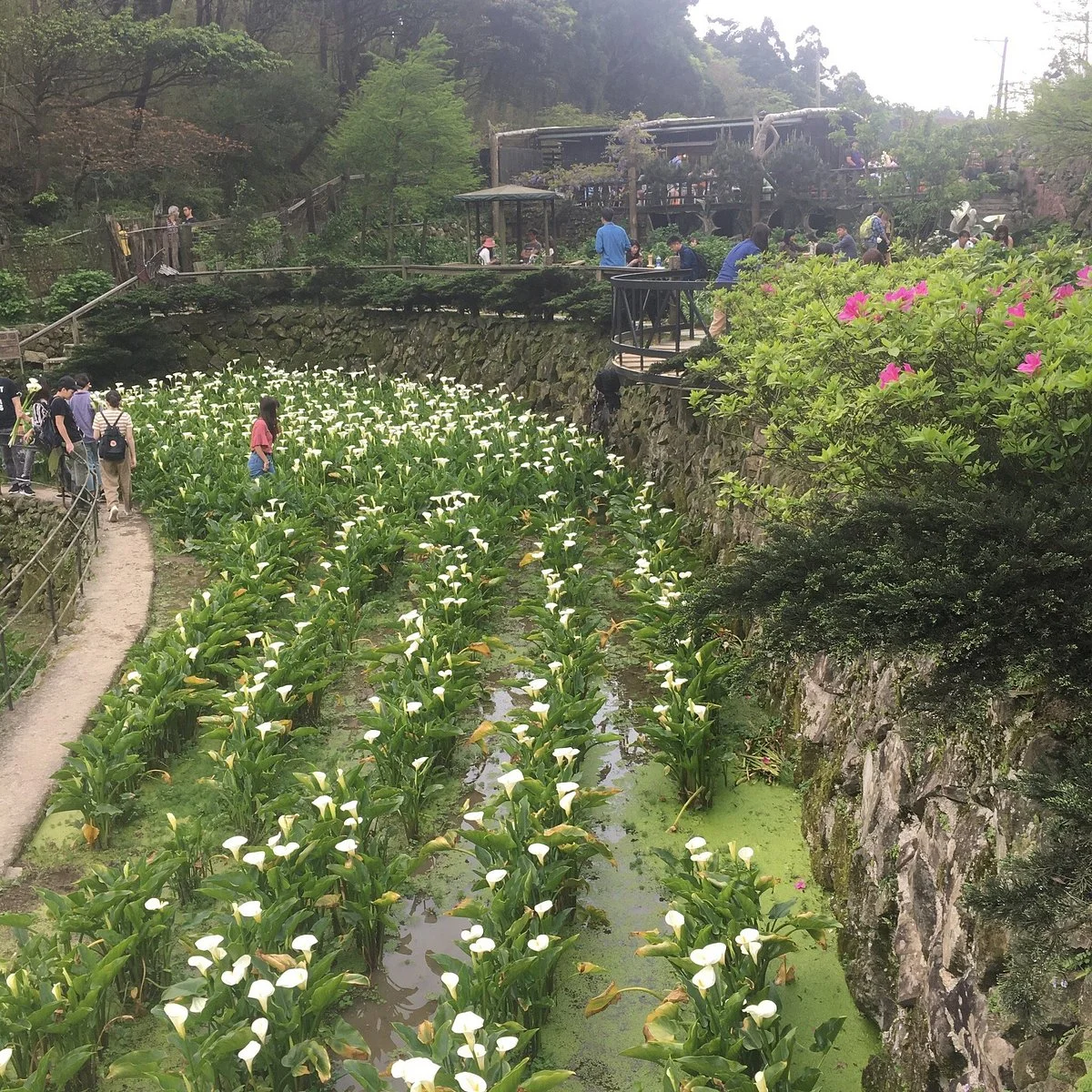 Min Yang Pu Leisure Farm