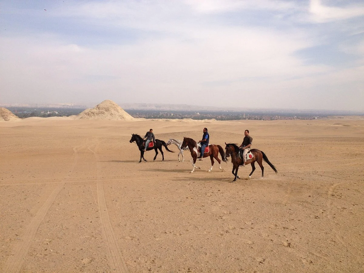 KFB Stables, Abu Sir Pyramids