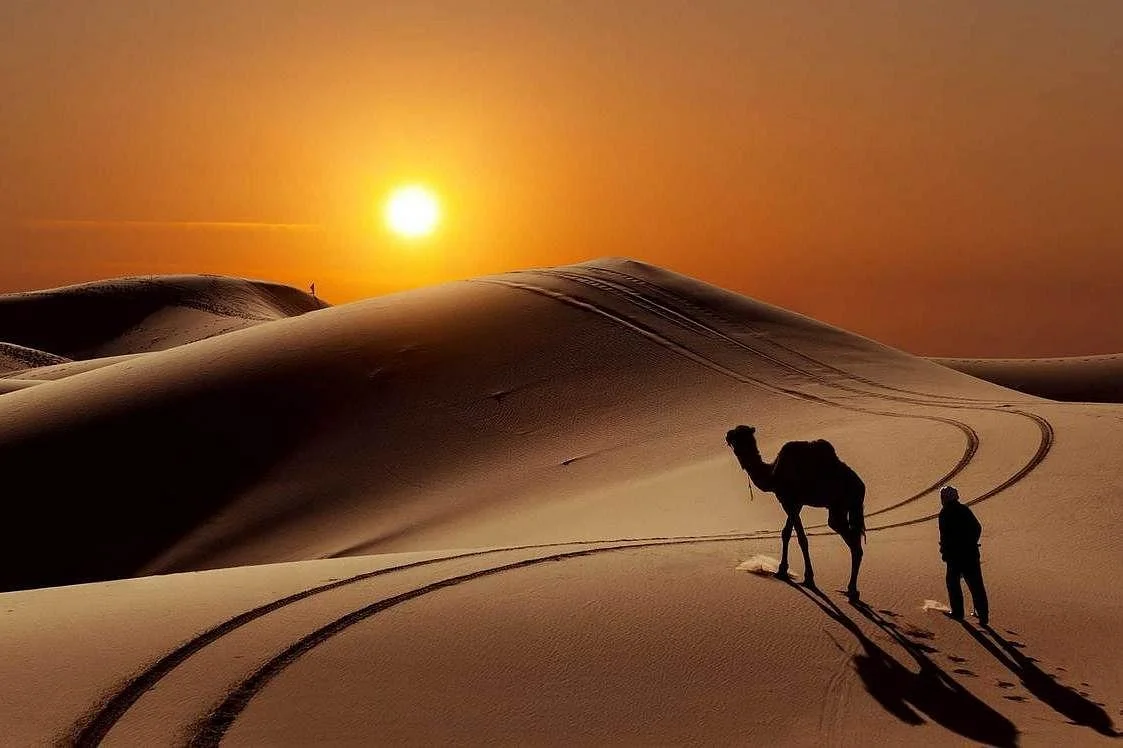 Absolute Morocco