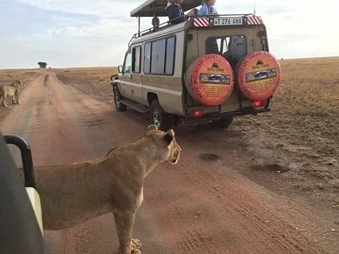 Meru Mountain Treks and Safaris
