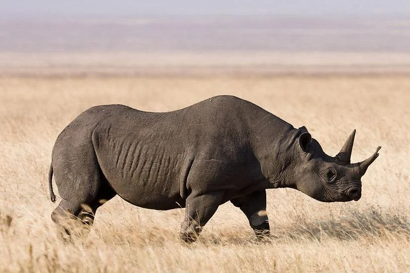 HAPPY MOMENTS TOURS & SAFARI