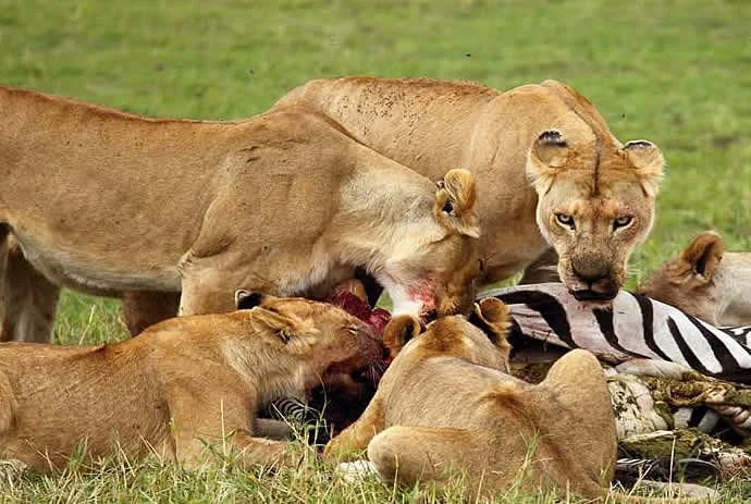 Nam Africa Adventure
