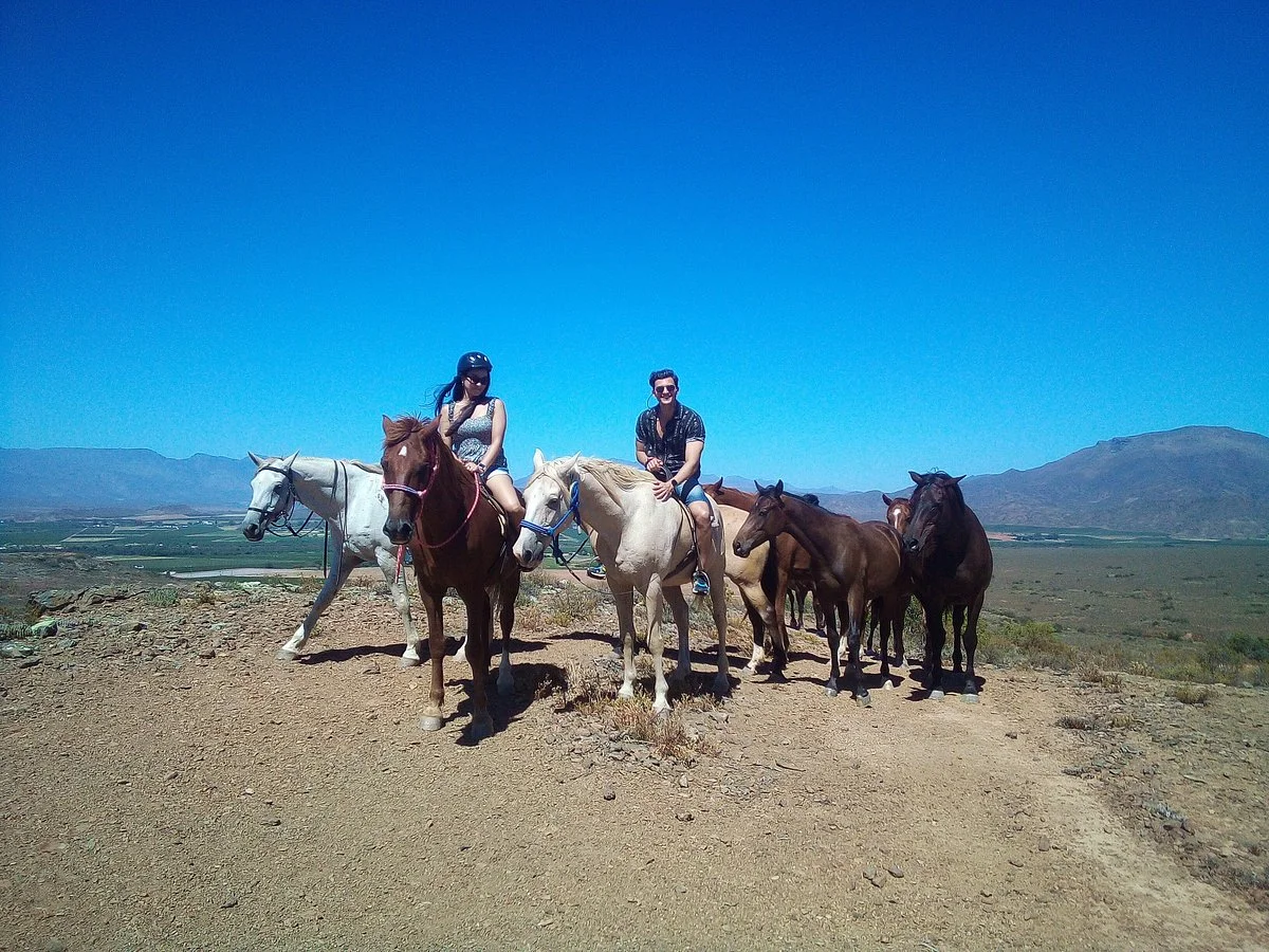 Nerina Guest Farm