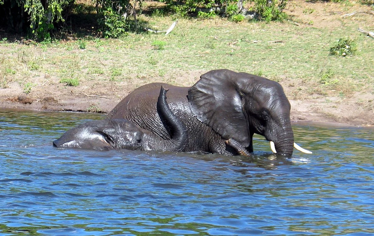 Chobezi Day Trip