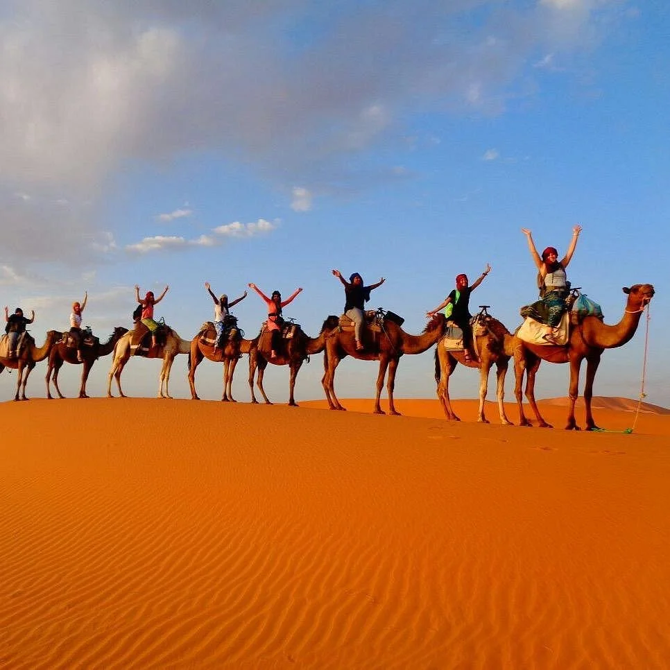 Morocco Travel Company