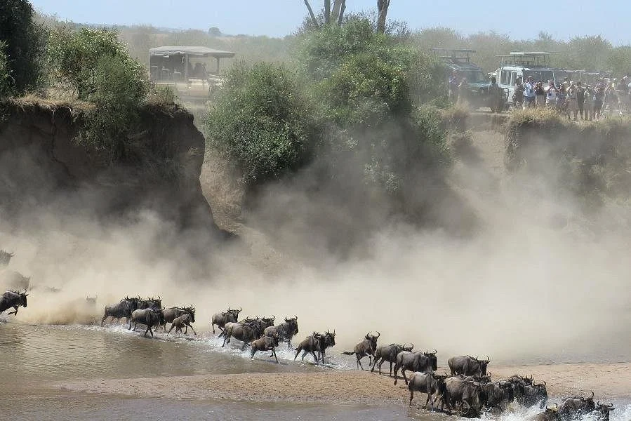 Gundua Africa Adventure