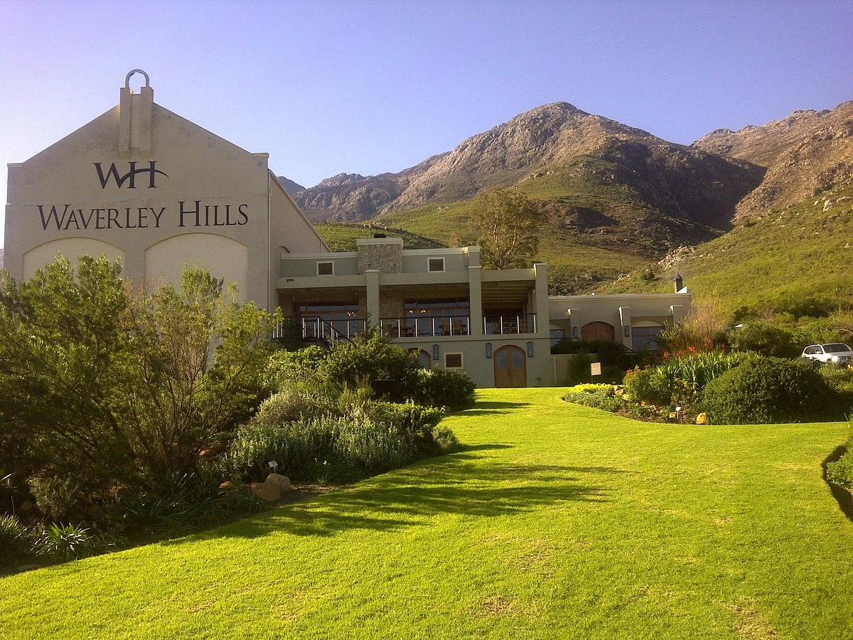 Waverley Hills Organic Wine and Olives