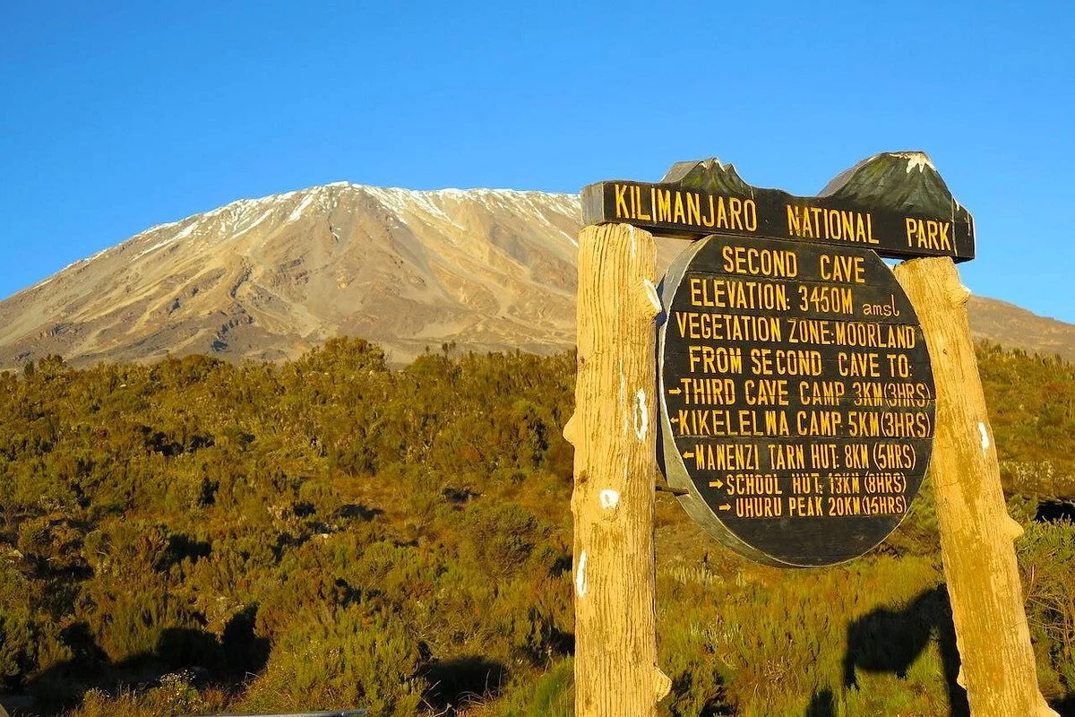 Bora Trekking Tours & Safaris