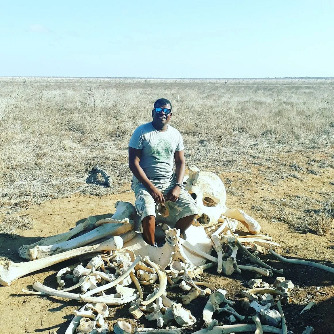 Jambo Life Safari