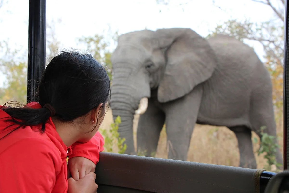 Wild Photo Africa Safaris