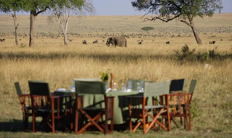 Tanzania Oribi Safaris