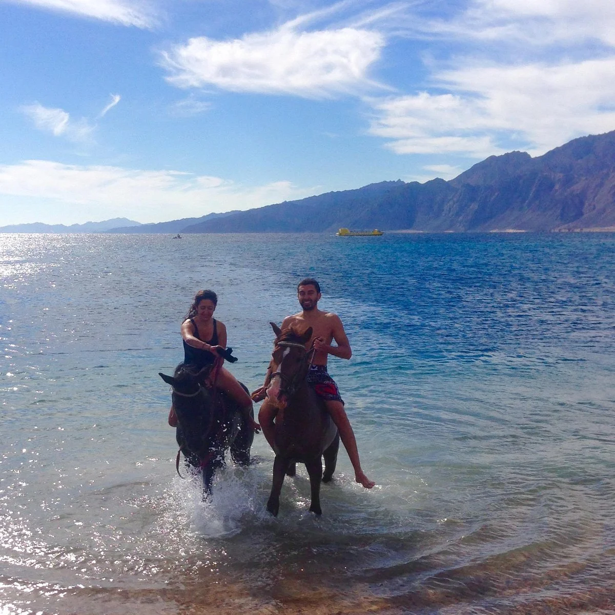 Dahab Horse Riding Club