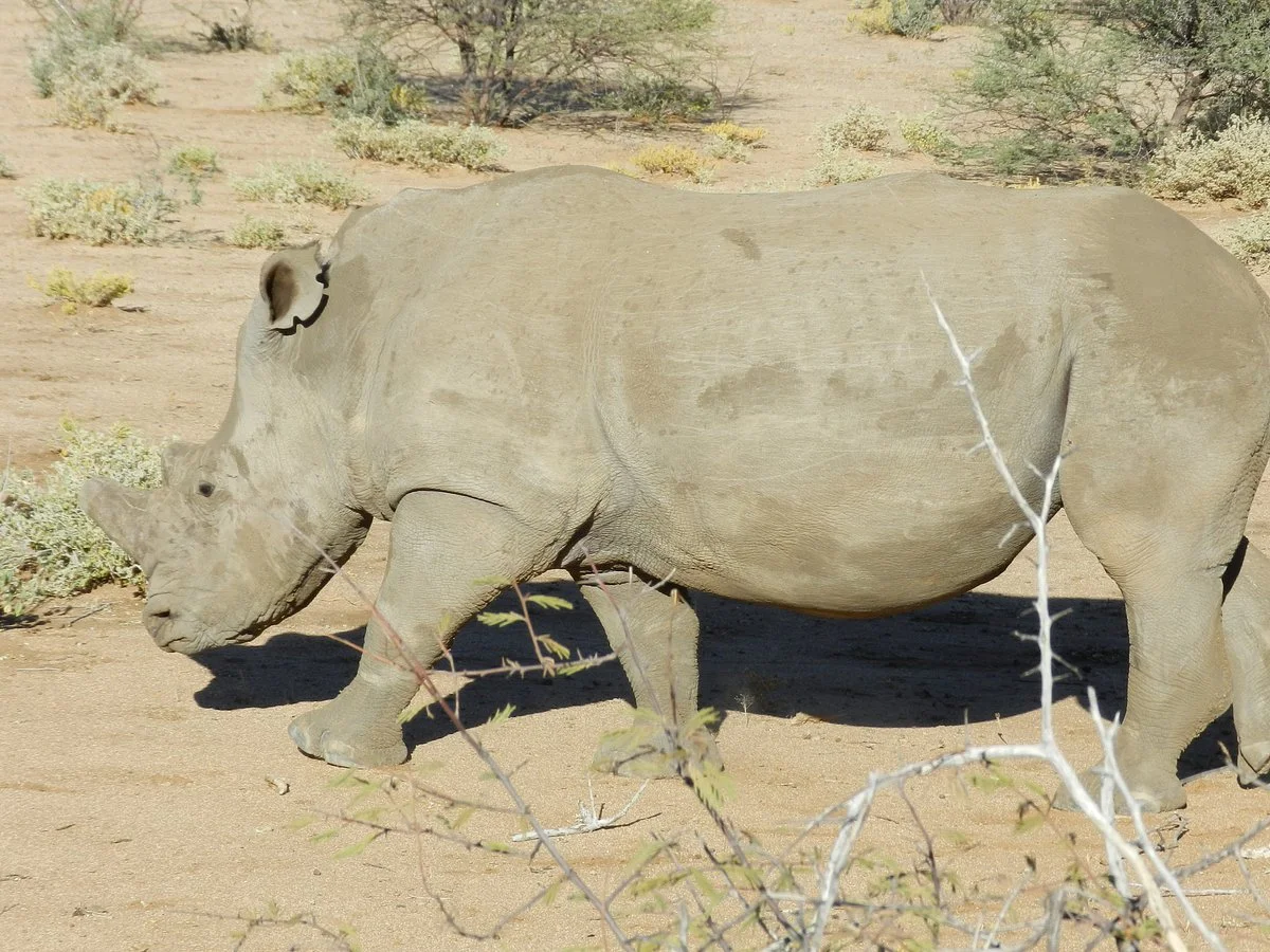 Erindi Game Reserve