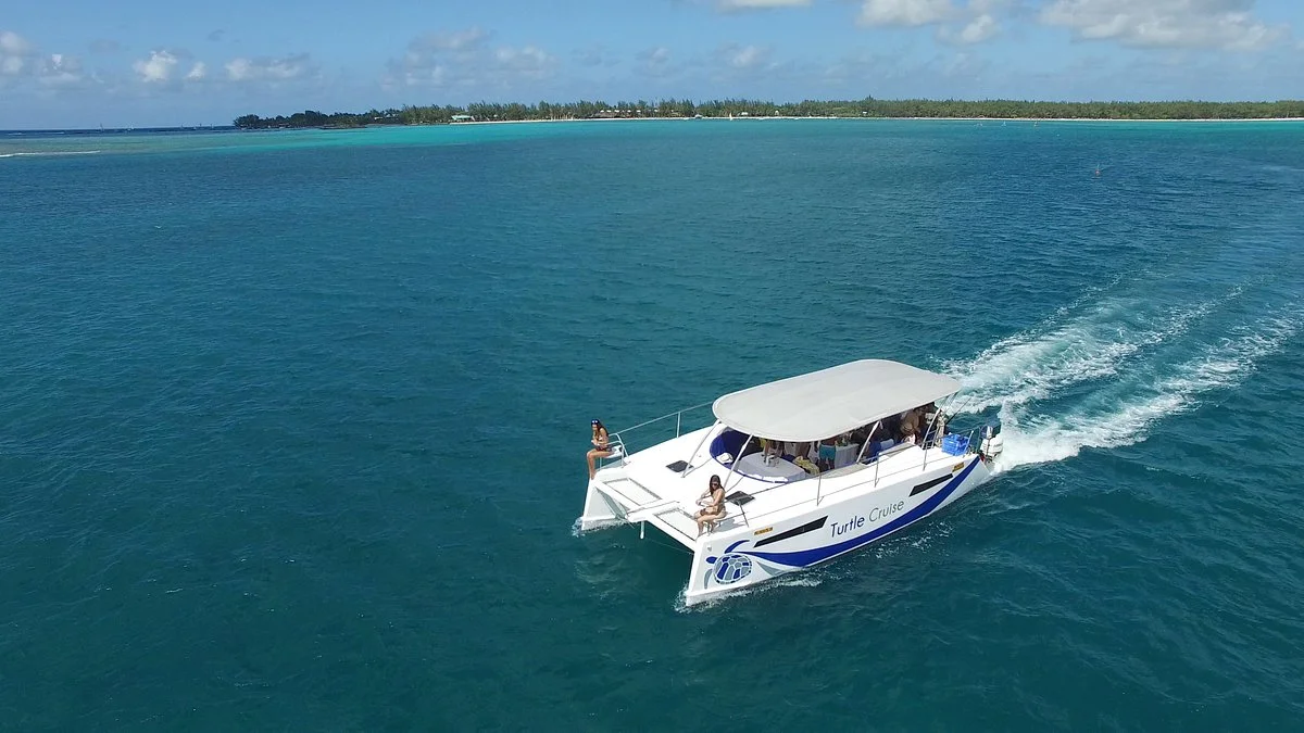 Turtle Cruise