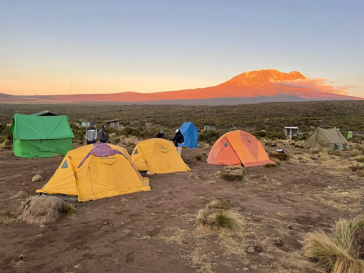 Nabaki Safaris & Tours