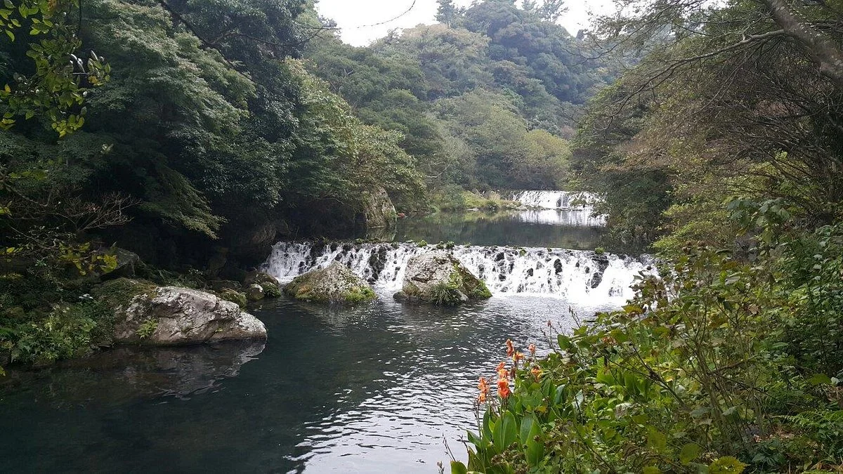 Jeolmul Natural Forest Resort