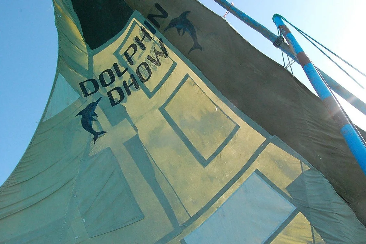 Dolphin Dhow Safaris