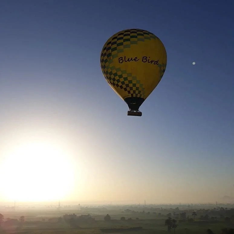Blue Bird Balloon
