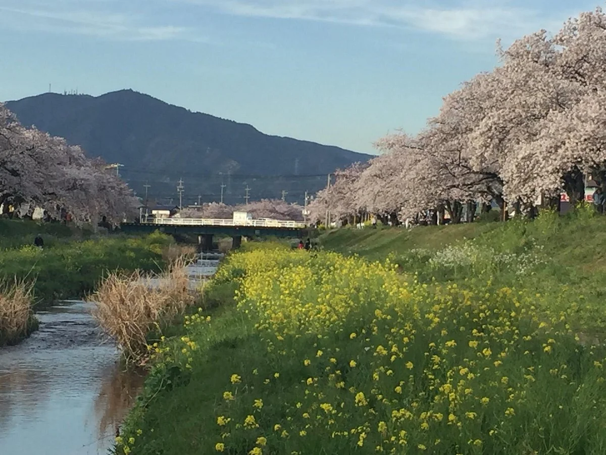 Sanagawa Embankment
