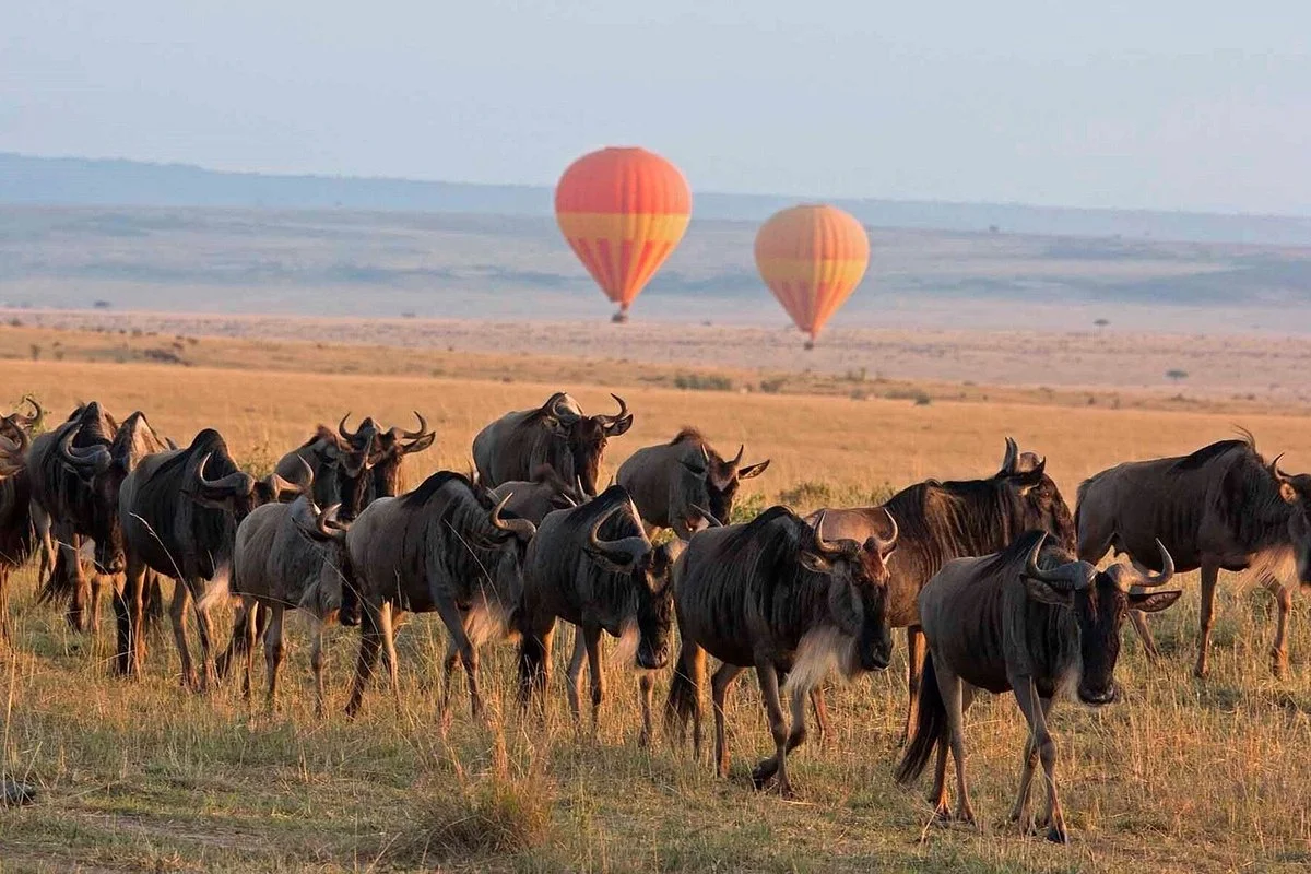 Kimbunga Safaris