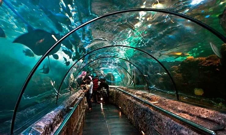 Sea World