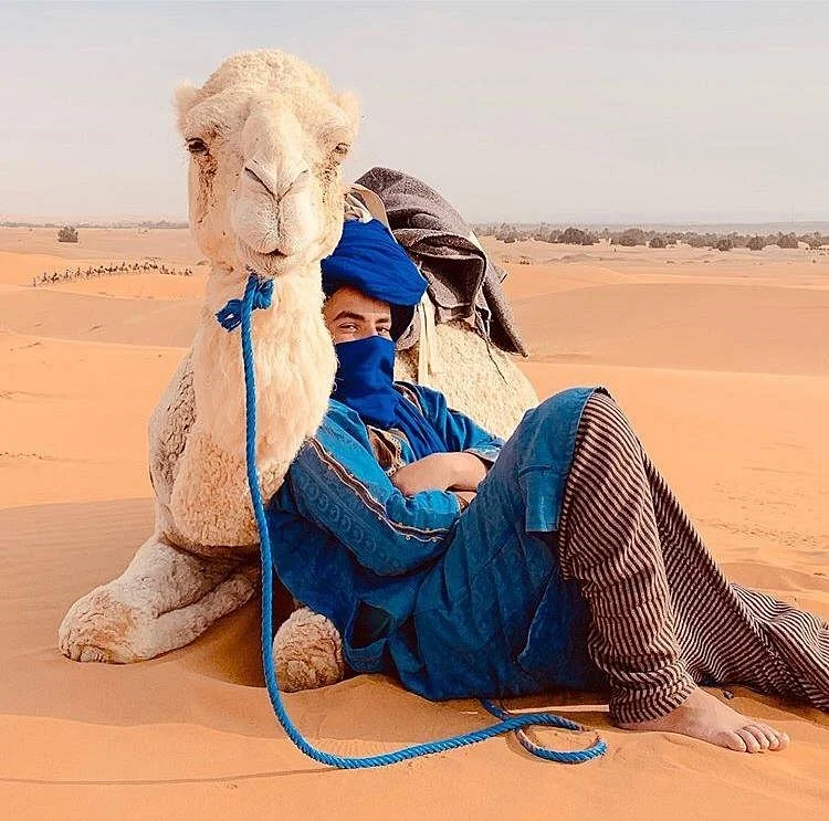 Morocco Camel Travel