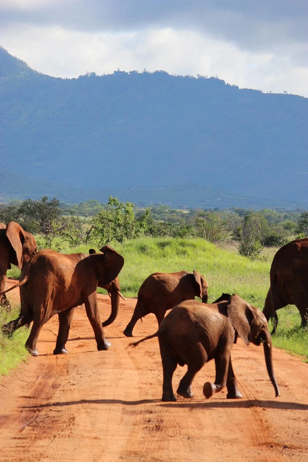 Kennedy Tours and Safaris - Day Tours