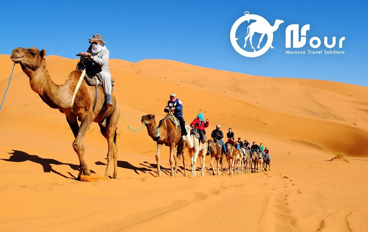 Nour Safari
