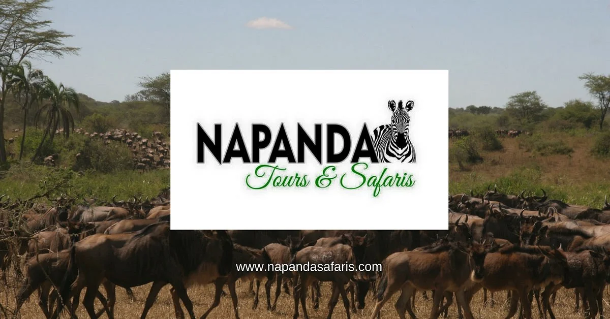 Napanda Tours and Safaris
