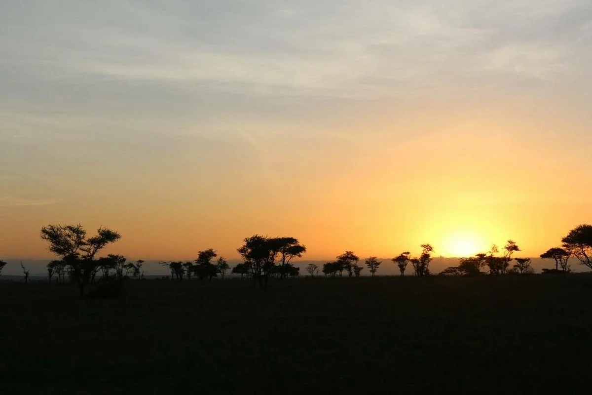 Landela Safaris