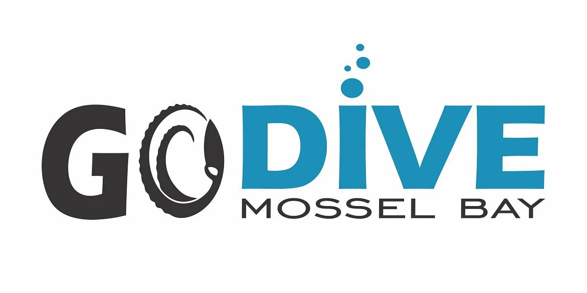Go Dive Mossel Bay
