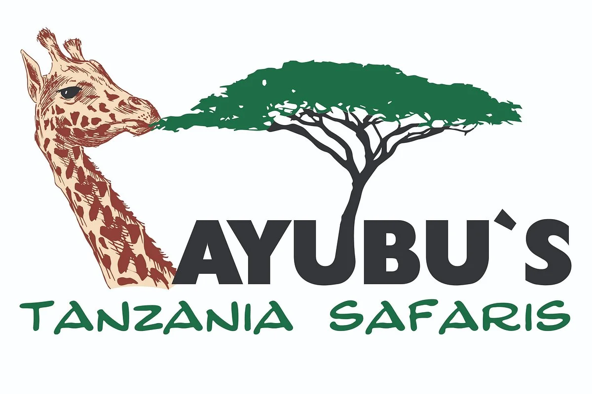 Ayubu's Tanzania Safaris