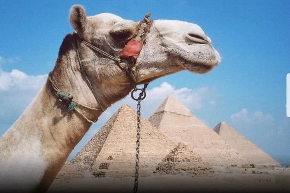 Egypt with Hedy