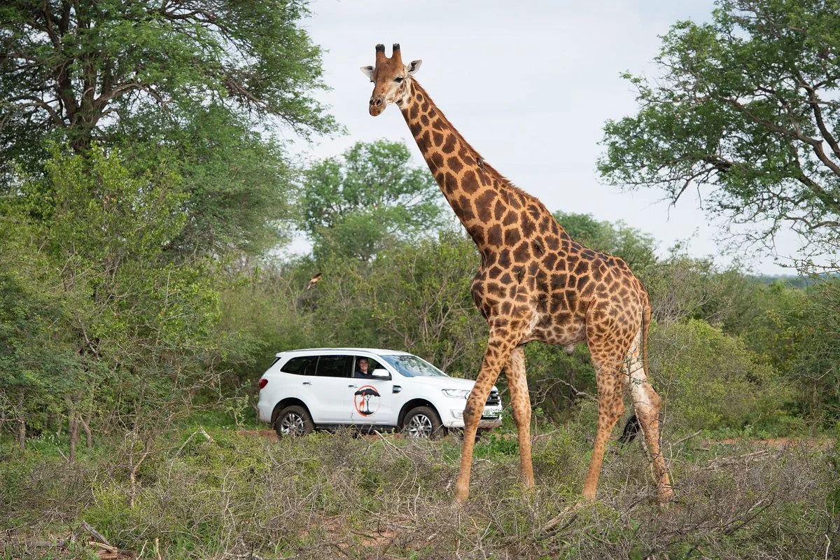 Twiga Travel Africa