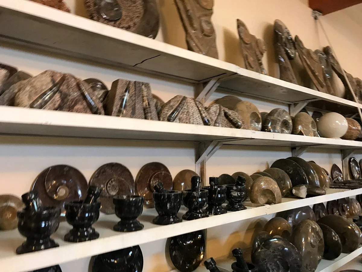 Mezane Fossil Store