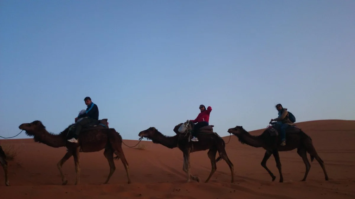 Camel Ride in Marrakech - Morocco Camel Tours