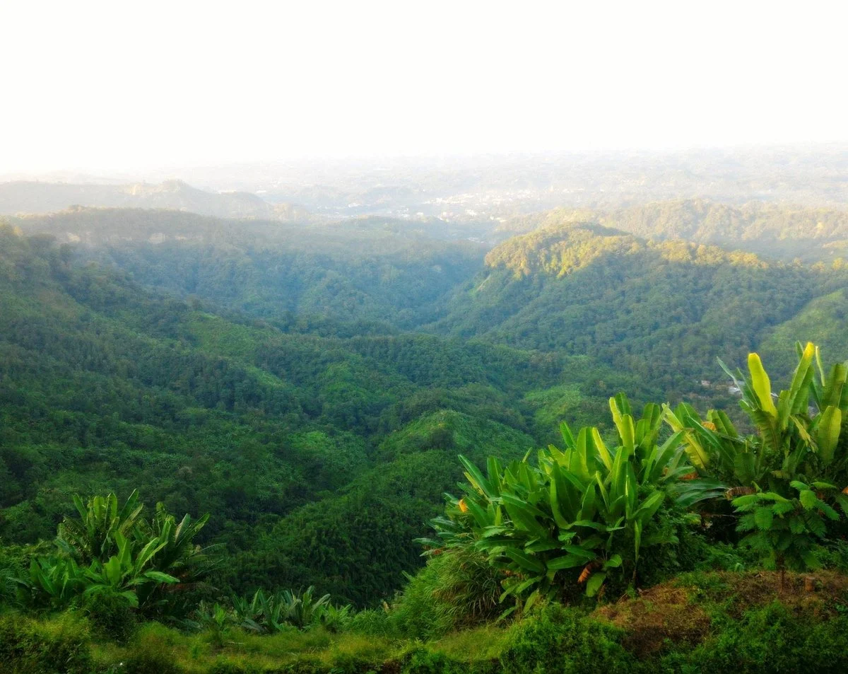 Nilachal