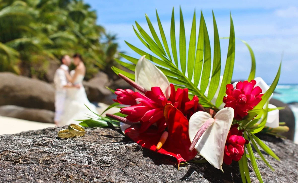 Tours & Excursion Seychelles