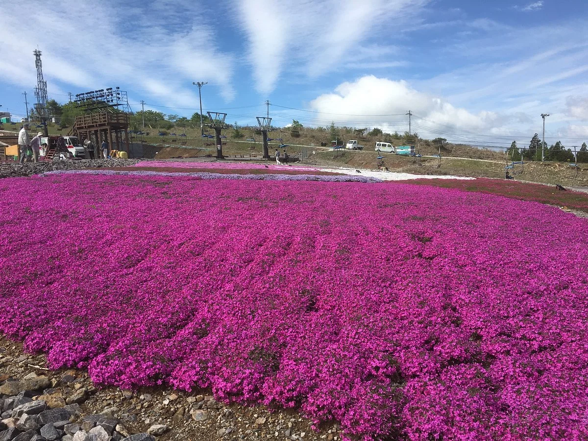 Chausuyama Plateau