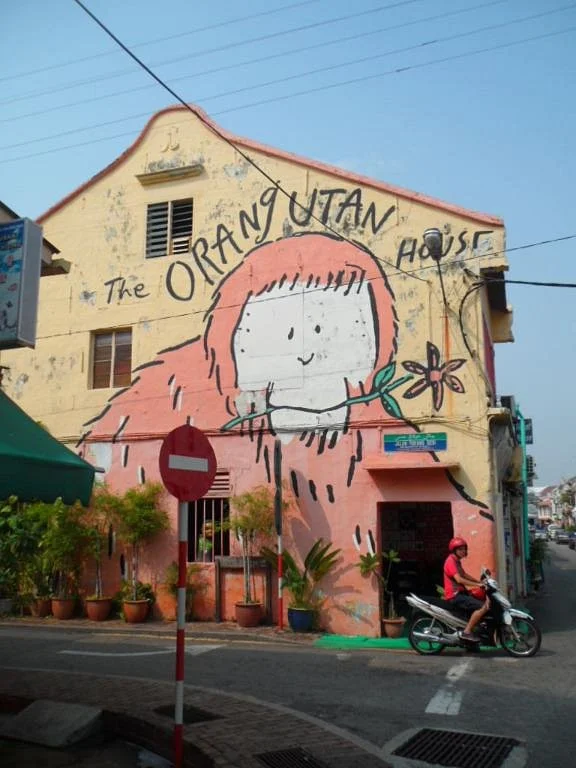 The Orangutan House