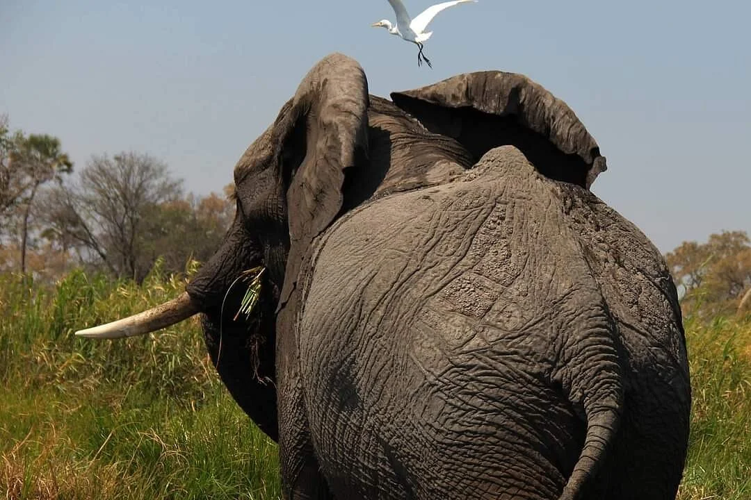 Supertime African Tours