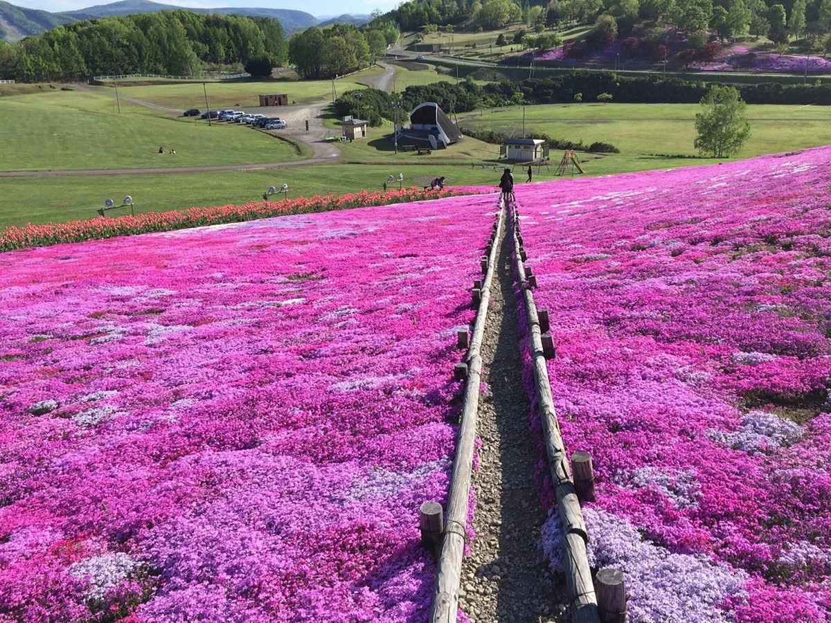 Engaru sun hills park