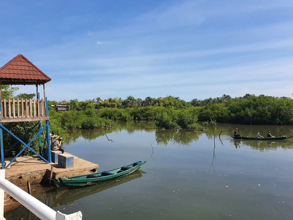 Kotu Bridge (Bird watching)