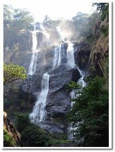 Tatanca Safari & Tours