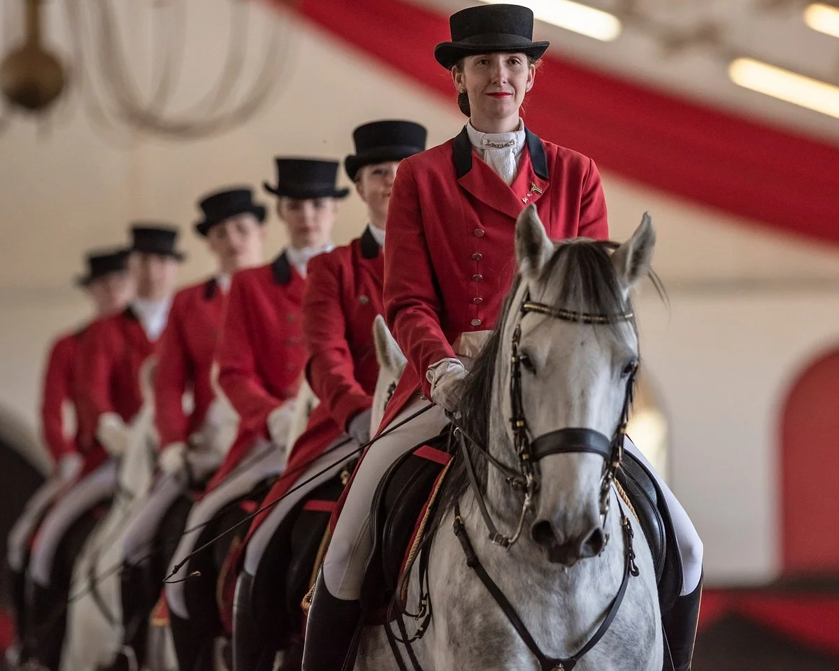 The South African Lipizzaners