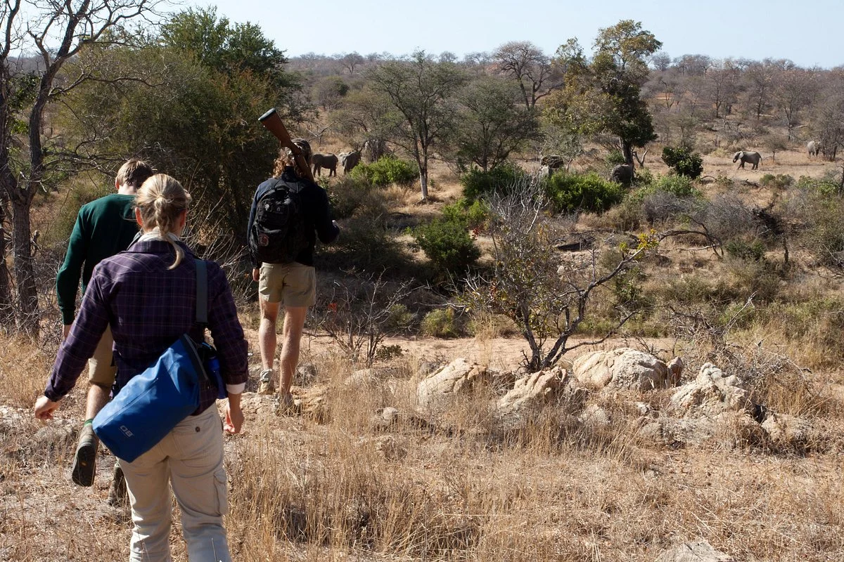 Natural Earth Safaris