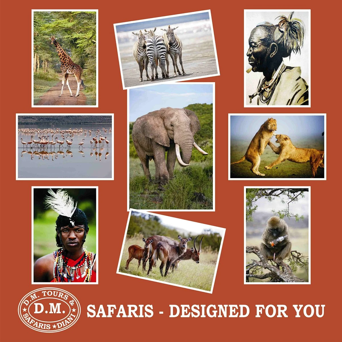 D.M. Tours & Safaris