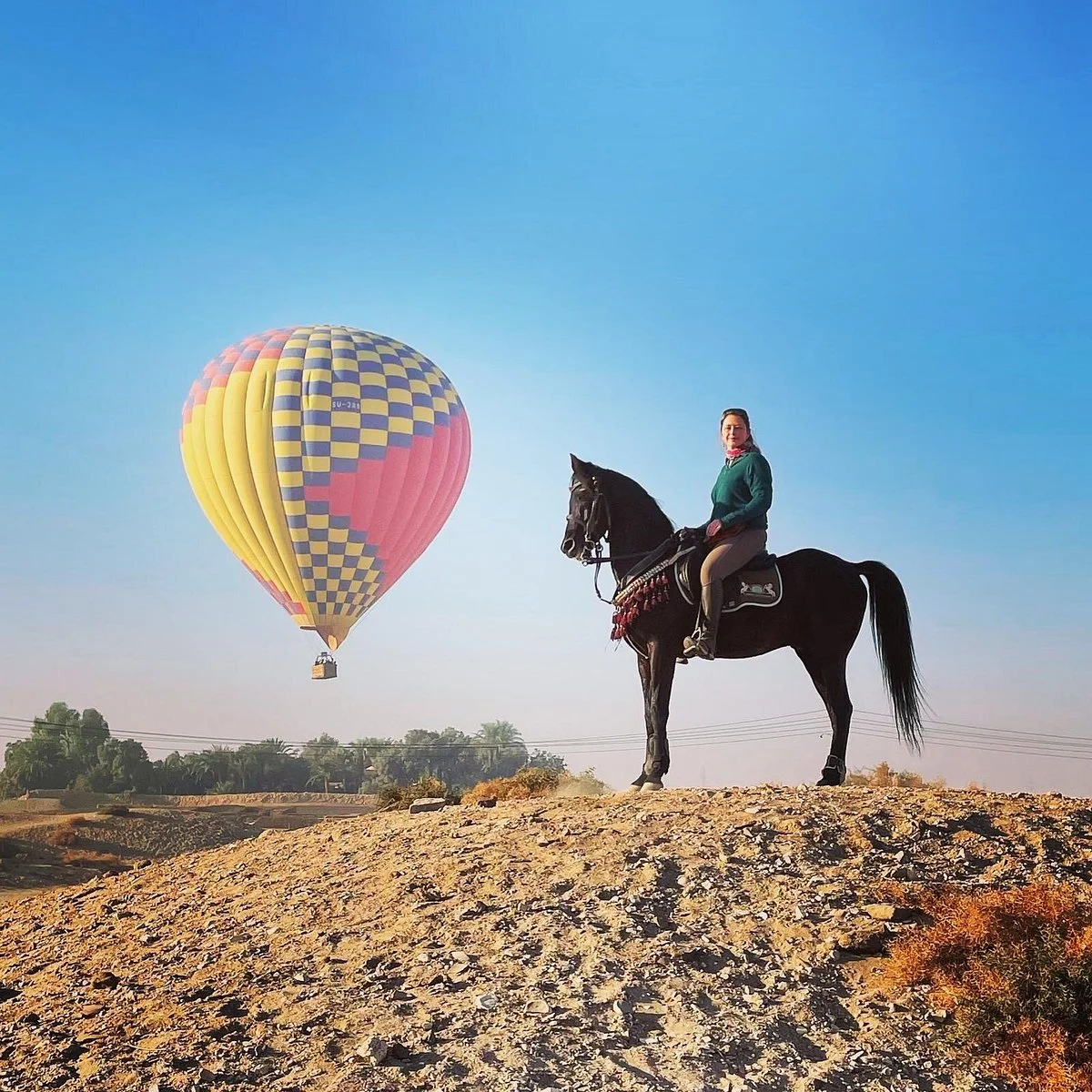 Luxor Equestrian