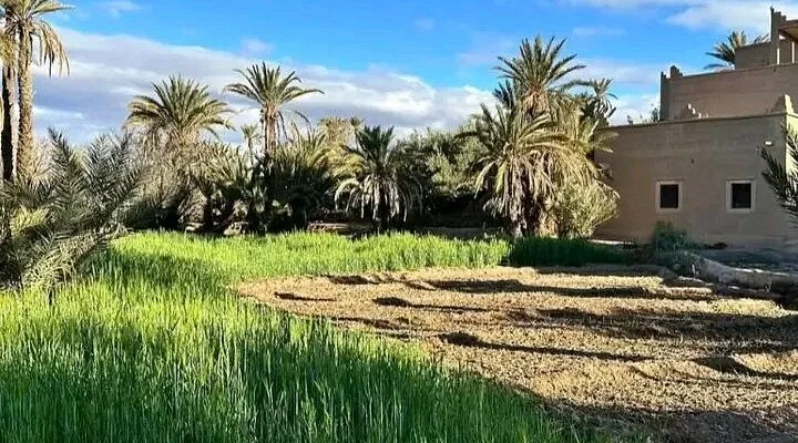 Skoura 360